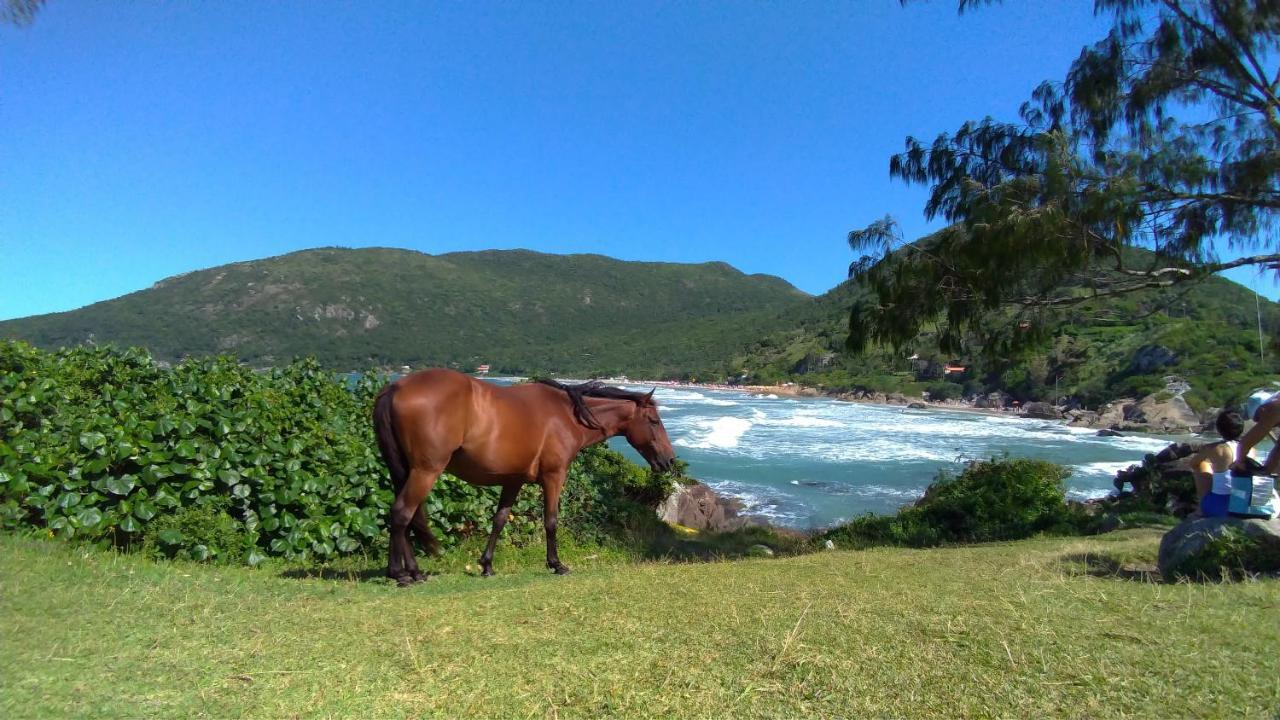 Florianópolis Chale Praia Da Armacao מראה חיצוני תמונה